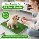 Artificial Pee Grass Pad for Dogs, Fake Grass Replacement Pads for Dog Potty Tray Training Pet Turf, Indoor and Outdoor Mat- 2 Packs (14" x 18")