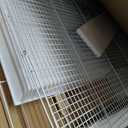 A&E Cage Co 503 White SP Flight Bird Cage 24" x 16" x 16" Small Bird Cage for Finches, Canaries & Parakeets Includes 2 Feeder Stations, Wood Perch, Slide-Out Tray & Carry Handle (White)