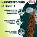 Living World - Millet Spray for Birds, 3.5 Oz Premium Treat for Budgies, Canaries, Finches, Cockatiels and Other Pet Birds (EXP 12/12/28)