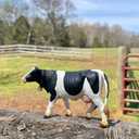 Safari Ltd. Holstein Cow Figurine - Detailed 5" Plastic Model Figure - Fun Educational Play Toy for Boys, Girls & Kids Ages 3+