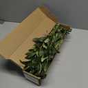 Waipfaru 8 Pcs Faux Greenery Stems, Olive Tree Branches for Vases, Artificial Olive Tree Fake Plants for Centerpieces Floral Arrangements Home Decor, 18 Inch