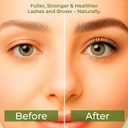 2 x Castor Oil for Eyelash & Aceite de Castor Organico | Aceite de Ricino para Pestaas  4 fl oz, Cold-Pressed & Hexane-Free, Glass Bottle with Pre-Filled Lash & Brow Applicators