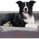 Comfort Expression Large Dog Beds Waterproof Comfy Pet Bed for Dogs Sofa, Orthopedic Foam Dog Beds with Washable Removable Cover & Non-Slip Bottom(Large,Purple) (36.0"L x 27.0"W x 7.5"Th)