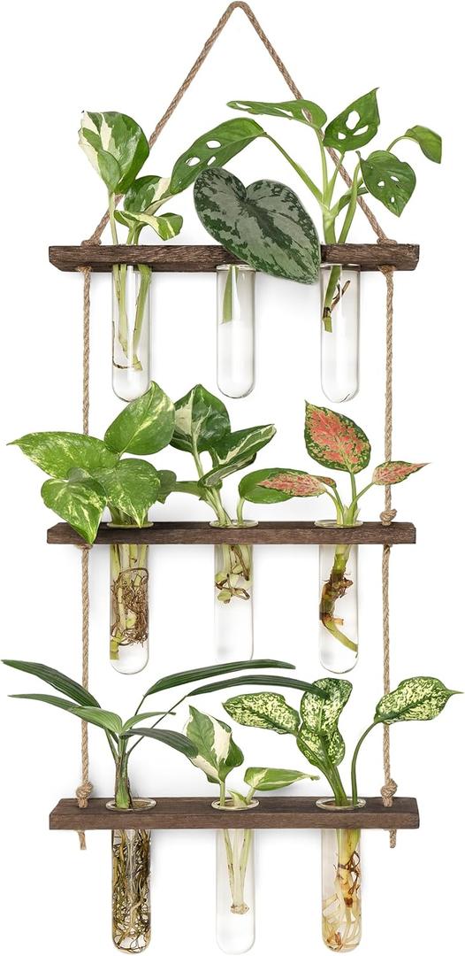 Mkono Plant Propagation Tubes, 3 Tiered Wall Hanging Terrarium with Wooden Stand Flower Vase Test Tube Glass Planter Stations for Hydroponic Cutting Home Garden Office Decor (Brown, Small)