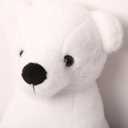 Plush White Teddy Bear, Soft Stuffed Animal, 10 Inch, Cuddly Plush Toy, for Children