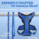rabbitgoo Cat Harness and Leash for Walking, Escape Proof Soft Adjustable Vest Harnesses for Cats, Easy Control Breathable Reflective Strips Jacket, Navy Blue, M