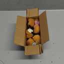 12Pcs Sprouts Rave, Cute Capybara Hair Clip for Festival Accessories Party Trinkets