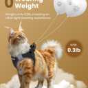 FAYOGOO Cat Harness and Leash Set for Walking Escape Proof, Kitten Adjustable Small Large Cat Lightweight Soft Vest Harness and Leash, M