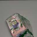 Jollcnoia Purple Peony Star Mini Cute Cactus Succulent Plants Bonsai Building Toy Potted Plant Blocks Particle Flower Botanical