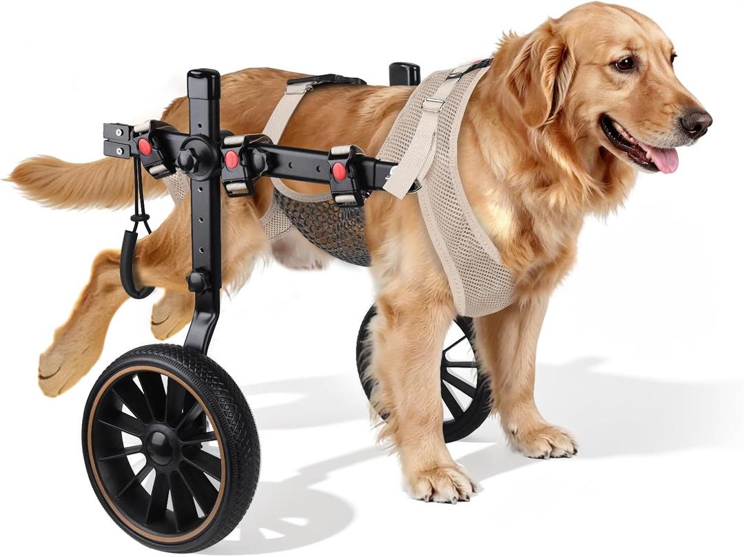 2-Wheel Dog Wheelchair for Back Legs - Adjustable & Detachable Design with Reinforced Safety Buckles, Open Design for Easy Potty Breaks, Helps Weak & Senior Dogs Walk Again, 44-66 lbs XL HLDW-01XL