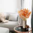 CISDUEO 120pcs Dried Bunny Tails Flowers Orange Lagurus Ovatus Tail Dried Flowers Pampas Grass Natural Dried Floral Arrangement for Boho Fall Decor Autumn Wedding DIY Farmhouse Christmas Halloween