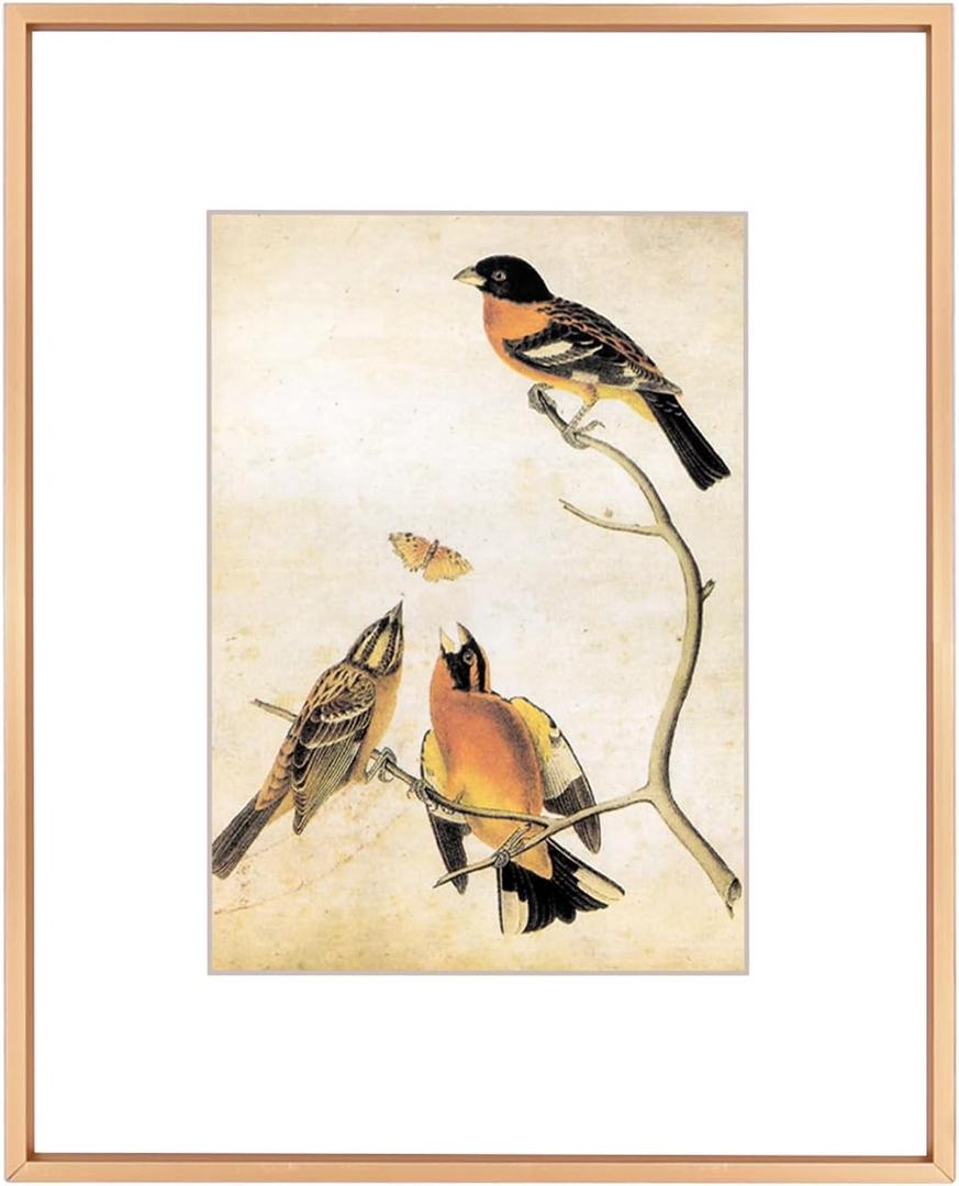 8x10 Picture Frame, Gold Aluminum Metal Photo Frames with HD Glass, Fits 5x7 with Mat or 8 x 10 without Mat, Display for Wall and Table