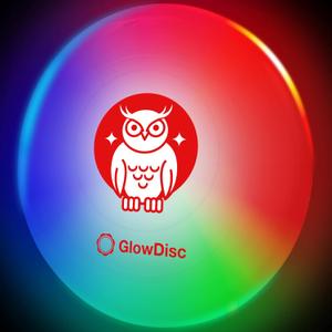 LED Light Up Flying Disc Frisbee, Cute Designs, Motion Activated, Waterproof, Indoor/Outdoor Gift, Lightweight, for Boys, Girls, Kids of All Ages (Owl)