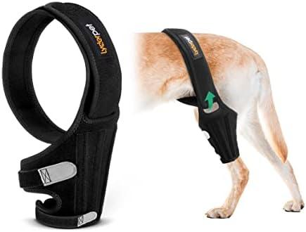 Lyderpet Dog Knee Brace for Torn ACL Hind Leg, Rear Leg Cruciate Ligament Braces for Dogs, Strong Support to Reduce Joint Pain and Muscle Sore, with Side Stabilizers for Back Leg Large L