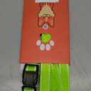 Reflective Dog Collar with Safety Locking Buckle, Adjustable Soft Breathable Nylon Collars for Small, Medium and Large Dogs(Collar+Leash XL Green)