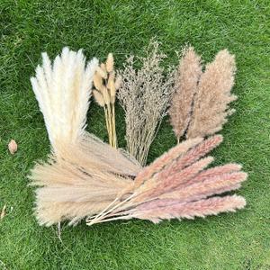 100Pcs Pampas Grass Boho Home Decor 17 inch Natural Dried Flowers-Pampas Grass Contains Bunny Tails White Pampas Brown Pampas.Boho Decor for Farmhouse Wedding Boho Wall Bathroom Office Kitchen