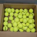 Gamma Sports Pressureless Tennis Balls Box, Bulk Tennis Balls, Premium Tennis Accessories, Multiple Pack Sizes, Tennis Practice, Tennis Training, Pet Toys, Dog Ball, Coach, Indoor & Outdoor Play