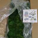 Preserved Pole Moss Pillow Bun Cushion Natural Green Decorative Real Natural Green DIY Kit Terrariums Gardenning Art Wall Decor Florist Decor Easter Table Wedding(1.5 sq.ft, Green-B)