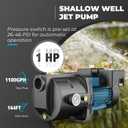LEO 1HP Shallow/ Deep Well Jet Pump with Ejector Kit, 115V/ 230V Durable Cast Iron Pump, Well Depth up to 50 ft, Automatic Pressure Switch, for Farm, Lawn, Garden