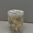 200 Pcs Sea Shells Bulk Mixed Ocean Beach Seashells for Kids, Various Sizes Natural Sea Shell for Crafts, Home Decorations, Beach Theme Party, Wedding Decor, DIY Crafts, Crafting Shells (1.3 Lb(about 200 Pcs))