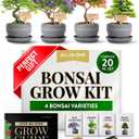 HOME GROWN Bonsai Tree Kit  Grow 4 Bonsai Types Indoors with Complete Starter Kit Including Pots Peat Pellets and Bonus Grow Guide  Unique Gardening Gift for Men Women Beginners