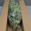 50" Artificial Boston Ferns, Fake Bush Plants, Large Faux Ferns with 96 Fronds for Outdoors Home Decor (50" 1 Pcs)