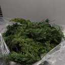 Artgar 6 Ft Christmas Cedar Garland - Realistic Greenery Cypress Garlands - Real Touch Artificial Pine Garland Christmas Decorations for Outdoor Home Dining Table Mantel Stair Porch Winter Xmas Decor