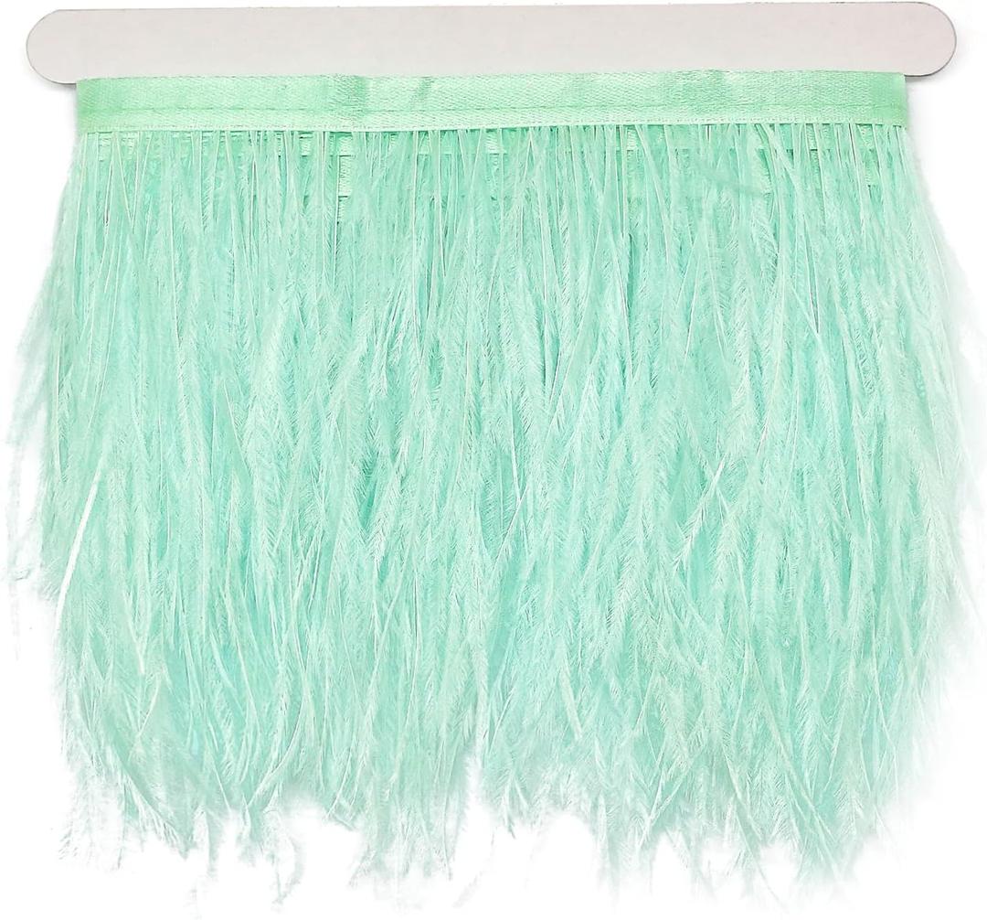 FQTANJU 2 Yards Soft & Natural Ostrich Feathers Fringe Trims Ribbon Used for Dress, Sewing, Craft Clothing, Lighting Decoration, Clothing DIY, etc. (Light Green)