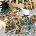75 Pcs 2026 Mini Graduation Bear Bulk Set with 25 Graduation Gift Mini Stuffed Bears 25 Clear Plastic Fillable Ornament Balls and 25 Bow 2026 Party Favors(Green)