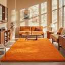 Ophanie Orange Rugs for Living Room Bedroom, 5x8 Fluffy Fuzzy Furry Carpet, Plush Soft Shaggy Bedside Indoor Floor Area Rug for Kids Girls Boys Baby Teen Dorm Nursery Home Decor Aesthetic