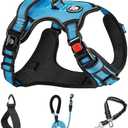 NESTROAD No Pull Dog Harness,Adjustable Oxford Dog Vest Harness with Leash,Reflective No-Choke Pet Harness with Easy Control Soft Handle for Small Dogs (X-Small,Blue)