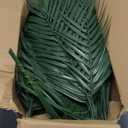Jutom 100 Pcs 25 Inch Artificial Palm Leaves Decor Large Tropical Faux Plants Plastic Fronds Fake Palm Branches Tree Leaves for Sunday Tree Vase Jungle Beach Party Wedding Decoration
