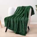 PAVILIA Emerald Green Throw Blanket for Couch Bed, Soft Fleece Throws for Sofa Chair, Fuzzy Waffle Textured Blanket, Cozy Warm Lightweight All Season Blanket Throw, 50x60