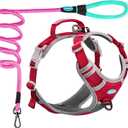 ThinkPet No Pull Harness Set Breathable Sport Harness with Handle - Reflective Padded Dog Safety Vest with Reflective Neon Dog Leash L Harness Leash Pack Red