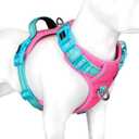 PHOEPET No Pull Dog Harness, Unique Colors Reflective Adjustable Dog Vest, with Soft Training Handle Metal Clips for Small Medium Large Dogs (Pink Base & Green Straps,S)