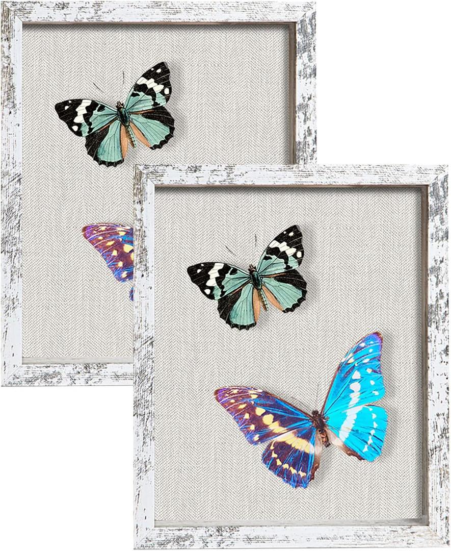 2 Packs 8x10 Shadow Box Frame with Linen Back - Sturdy Rustic Memory Display Case of Flower, Pictures, Medals and More, Distressed White
