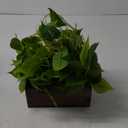 MyGift Vibrant Lifelike Artificial Plant Pothos Leafy Vine Greenery in Burnt Brown Solid Wood Rectangular Planter Box