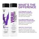 Celeb Luxury Colorwash Color Depositing Shampoo - Color Refresher, Vegan Hair Dye, Bondfix Bond Rebuilder, Viral and Gem Lites (Purple)