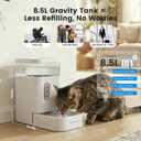 Gardner Pet 2.2 Gallon Automatic Dog Water Bowl Dispenser 8.5L Gravity Water Feeder with Stainless Steel Bowl & Maifan Stone Filter, BPA-Free for for Cats and Dogs (White, 2.2 Gallon)