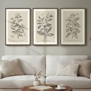 Framed Vintage Botanical Wall Art, 3 Piece Neutral Floral Plants Canvas Painting Prints Artwork for Living Room, Rustic Flowers Pictures for Farmhouse Bedroom Kitchen Dining Room Home Decor, 16x24