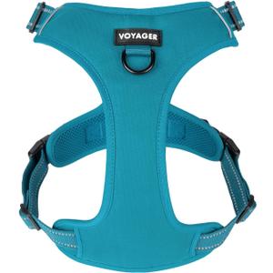 No Pull Dog Harness for Small Dogs, Dual Leash Attachments, Adjustable Soft but Strong Pet Harness with 3M Reflective Technology, Turquoise Nylon, S (Chest: 16-20")
