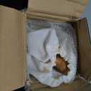 6.5ft Patio Umbrella with Fringe, Beach Umbrella, Fringe Umbrella Outdoor Patio with Hanging Hook, Tilting Aluminum Pole, UV 50+, Fiberglass Ribs, Elegant Cream