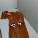 Morph Deluxe Lion Costume Kids Lion Mane Costume Halloween Costumes For Boys, Girls and Toddlers (7-9 Years)
