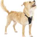 Kurgo Enhanced Strength Tru-Fit Smart Dog Harness, Crash Tested Car Safety Harness for Dogs, No Pull Dog Harness, Includes Pet Safety Seat Belt Tether - Black, X-Small