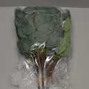 WILLBOND 30 Pieces Eucalyptus Stems Artificial Leaf Stem Faux Long Eucalyptus Artificial Greenery Leaves for Wedding, Office, Holiday, Home, Garden, Greens Decor