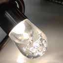 Enbrighten Classic Warm White String Lights, 36ft Black Cord, 18 Shatterproof Acrylic Bulbs, Weatherproof, Outdoor String Lights, 33171