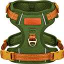 No-Pull Reflective Dog Harness with Handle Soft Padded Vest for Small Dogs Heavy Duty Adjustable Anti-Choke Pet Harness with Front & Back Clip Harness for Walking, Training (Green, XS)