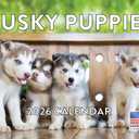 Siberian Husky Puppy Calendar 2026 Monthly Wall Calender 12 Month | American Made In The USA