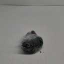 Sunzel Sunzfly Invisible Butt Scrunch Workout Leggings for Women, Butt Lifting High Waisted Gym Yoga Pants with Tummy Control (X-Large, Black)