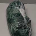 PAVILIA Emerald Green Fleece Throw Blanket for Couch, Dark Green Forest Super Soft Fuzzy Flannel Throw for Sofa, Luxury Plush Microfiber Bed Blanket, Cozy Home Decorative Velvet Gift Blanket, 50x60